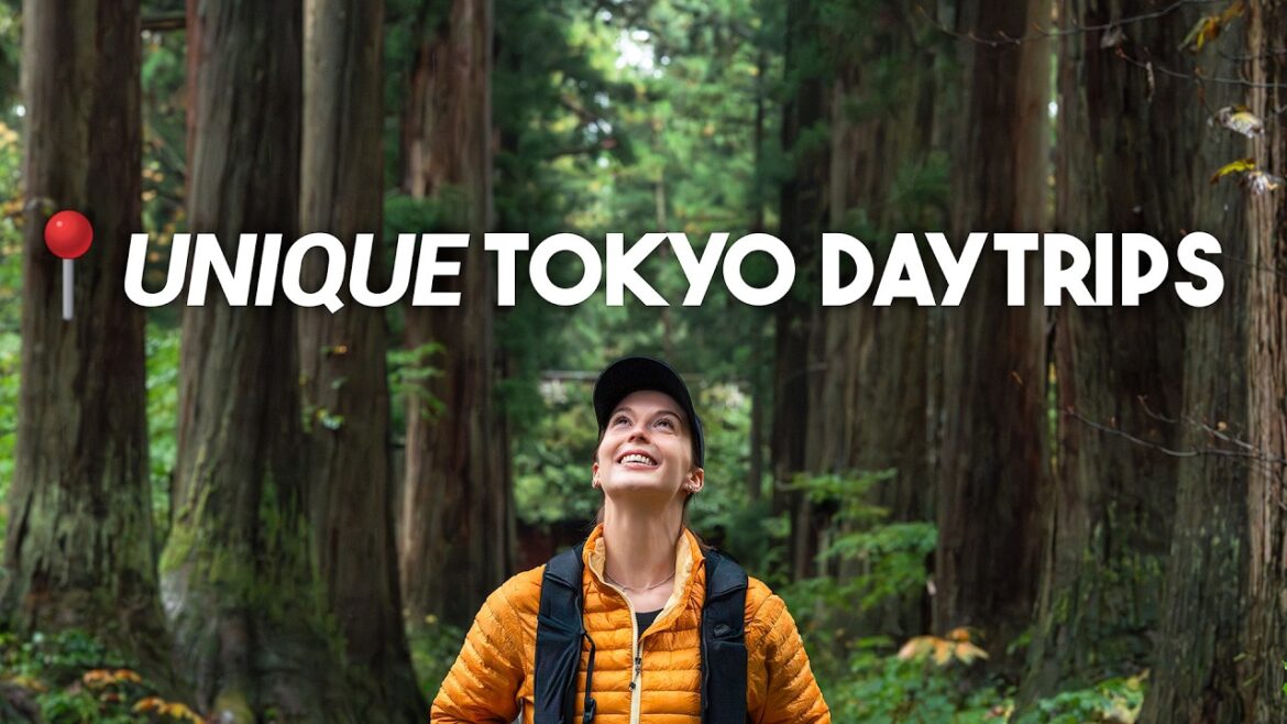 20 Things To See From Tokyo That You’ve Never Heard Of – All Doable With Public Transport! 20 Things To See From Tokyo That You've Never Heard Of - All Doable With Public Transport!