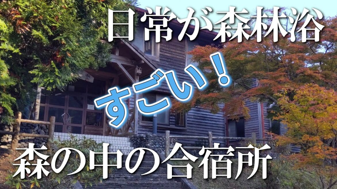 【熊本】五家荘自然塾 編 ( Vol.348 )/人里離れた秘境の宿!?日常が自然の森林浴【4K】 【熊本】五家荘自然塾 編 ( Vol.348 )/人里離れた秘境の宿!?日常が自然の森林浴【4K】