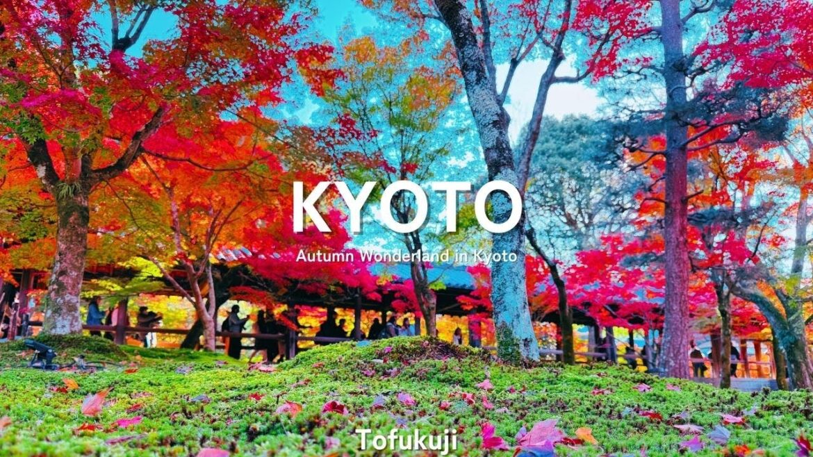 Kyoto’s Best Autumn Spot? Tofukuji Temple Will Leave You Speechless!