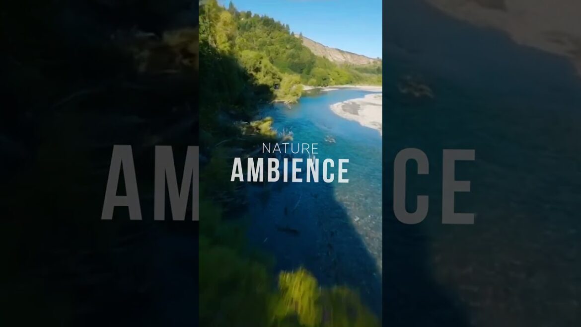 Nature Ambience #Travel #Nature #contentshort Nature Ambience #Travel #Nature #contentshort