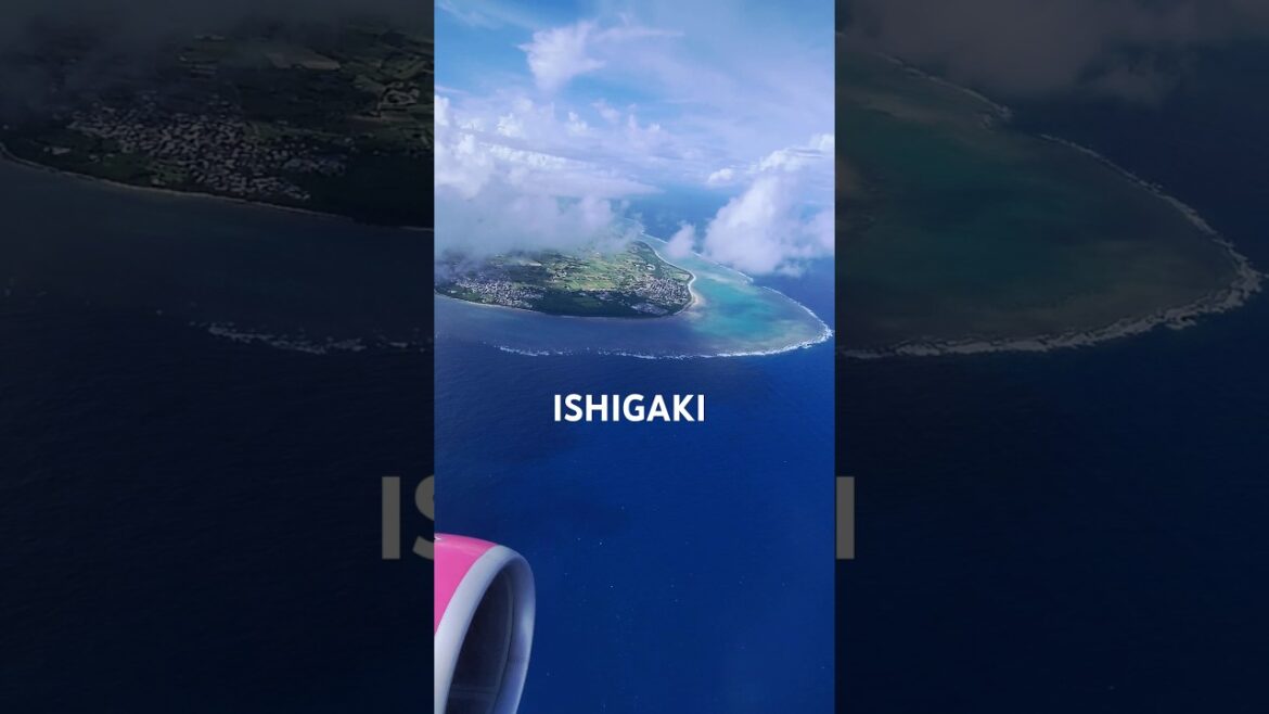 Home sweet home 🏝️🥰 Ishigaki Island View Of South Coast #ishigakiisland #okinawajapan #ishigaki Home sweet home 🏝️🥰 Ishigaki Island View Of South Coast #ishigakiisland #okinawajapan #ishigaki