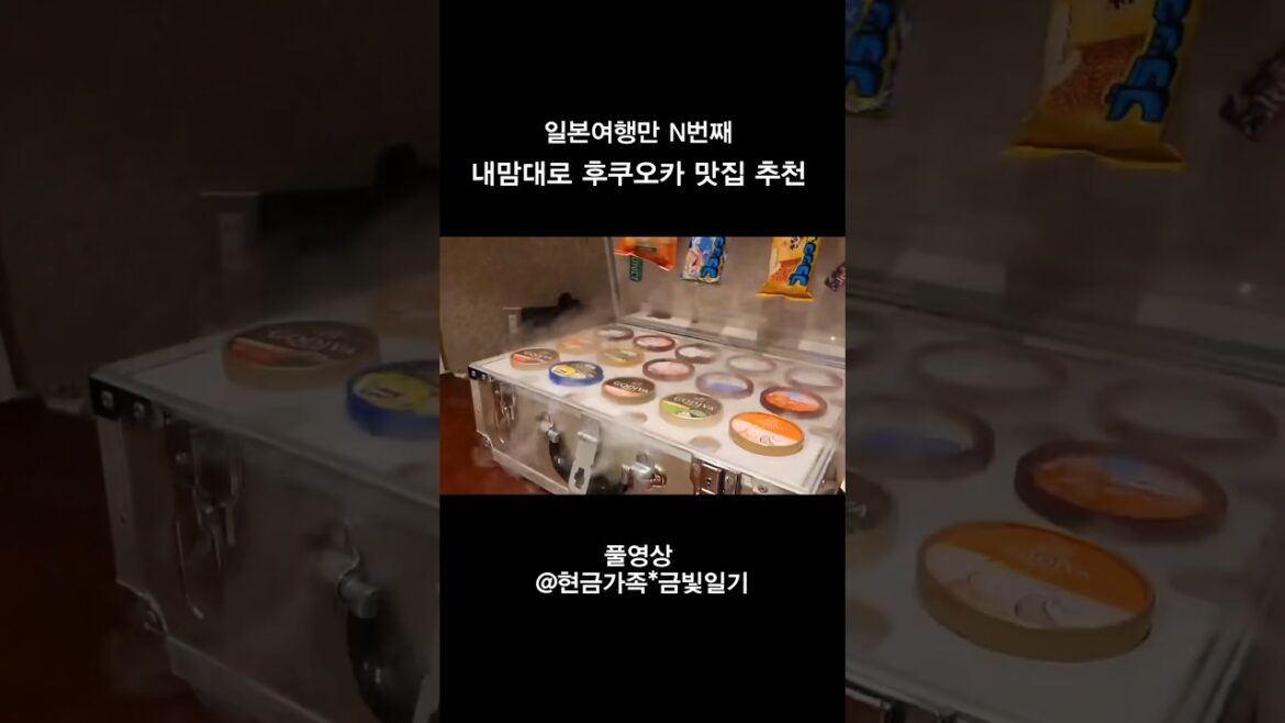후쿠오카 여행 N번째☝️내맘대로  추천하는 후쿠오카 맛집 #일본여행 #travel #후쿠오카여행