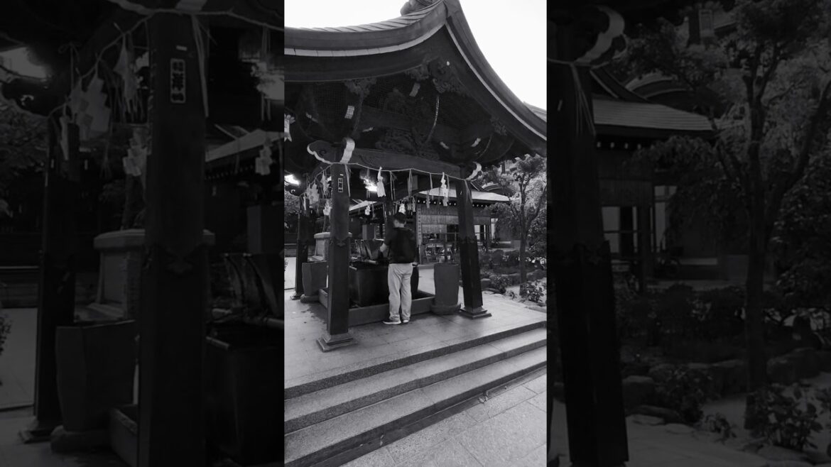 Kushida Shrine #fukuoka #japan #temple #travel