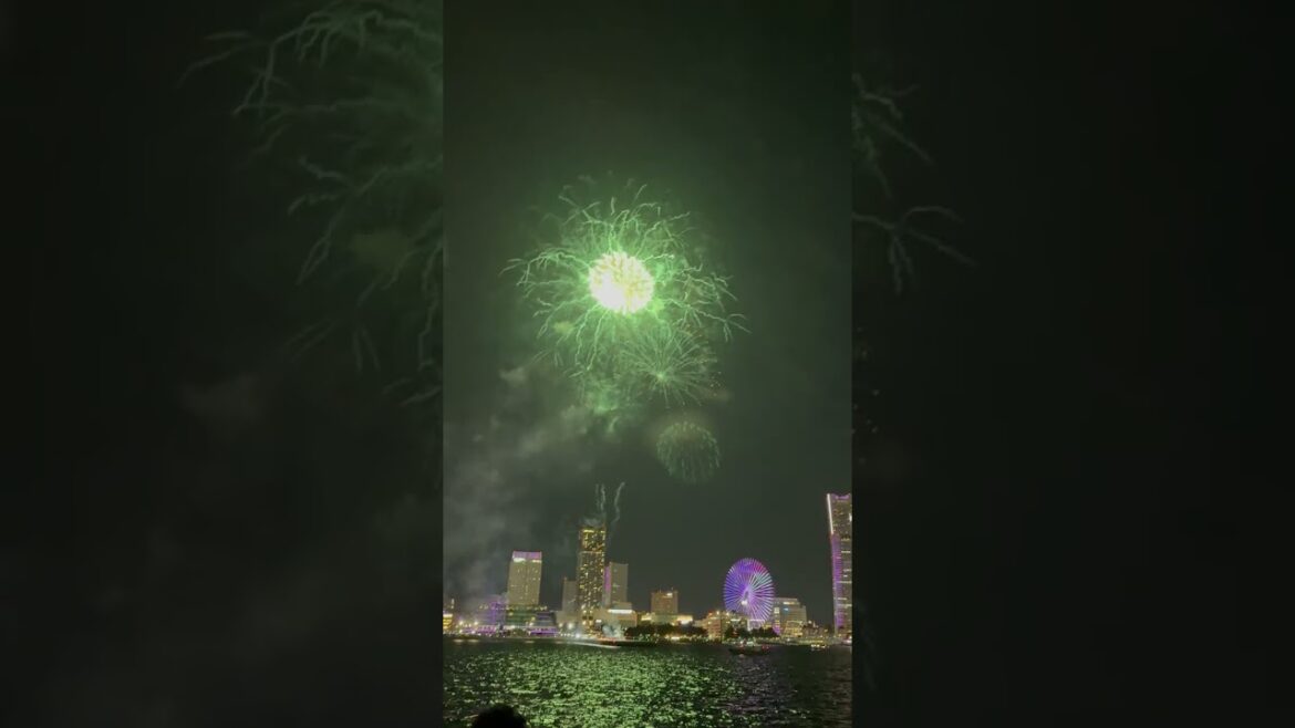 yokohama fireworks viewing cruise#yokohamafireworksviewingcruise#yokohamanightviewcruise#shorts