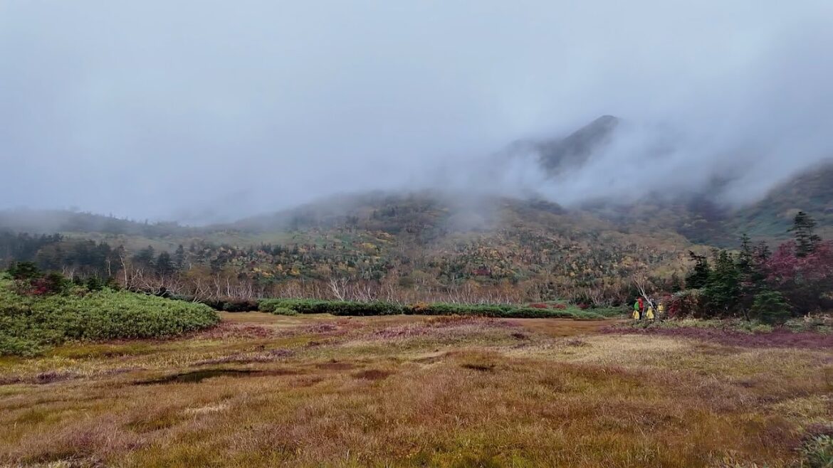 コートヤード白馬に宿泊して白馬のマウンテンリゾートを周遊バスで楽しむ