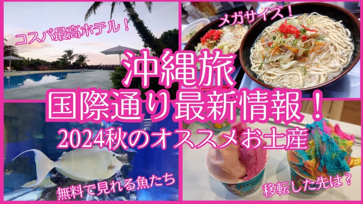 《沖縄旅2024秋》国際通り最新情報!ランチ&食べ歩き!精肉店の千円以下ステーキ!恩納村博物館でタイムスリップ!おんなの駅でトロピカルなかき氷!那覇空港内のオススメお土産店#沖縄旅行#沖縄ホテル 《沖縄旅2024秋》国際通り最新情報!ランチ&食べ歩き!精肉店の千円以下ステーキ!恩納村博物館でタイムスリップ!おんなの駅でトロピカルなかき氷!那覇空港内のオススメお土産店#沖縄旅行#沖縄ホテル