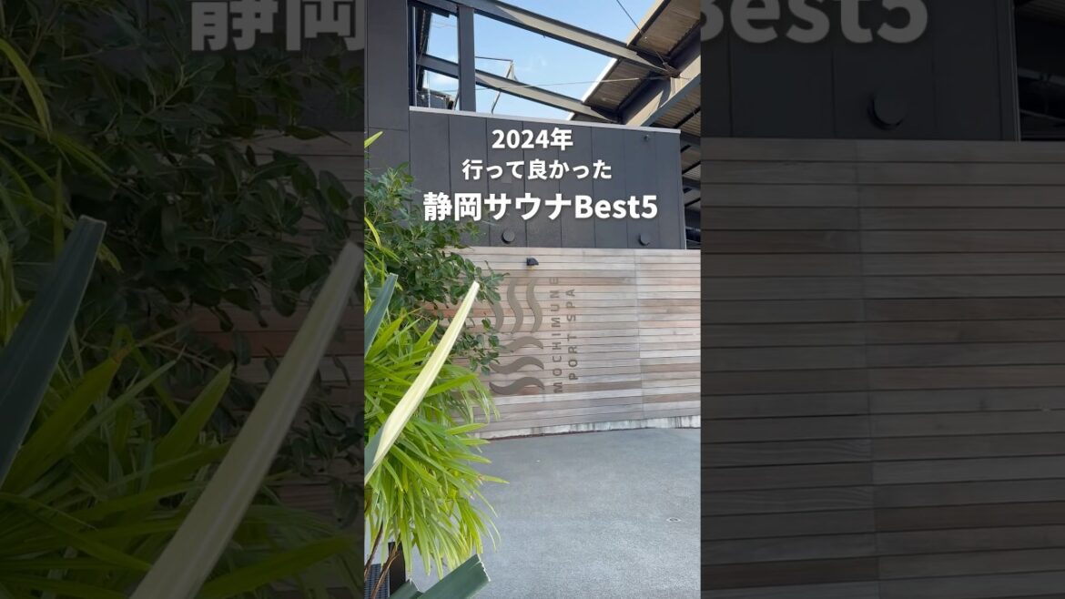 2024年最高だった静岡サウナBest5#静岡サウナ