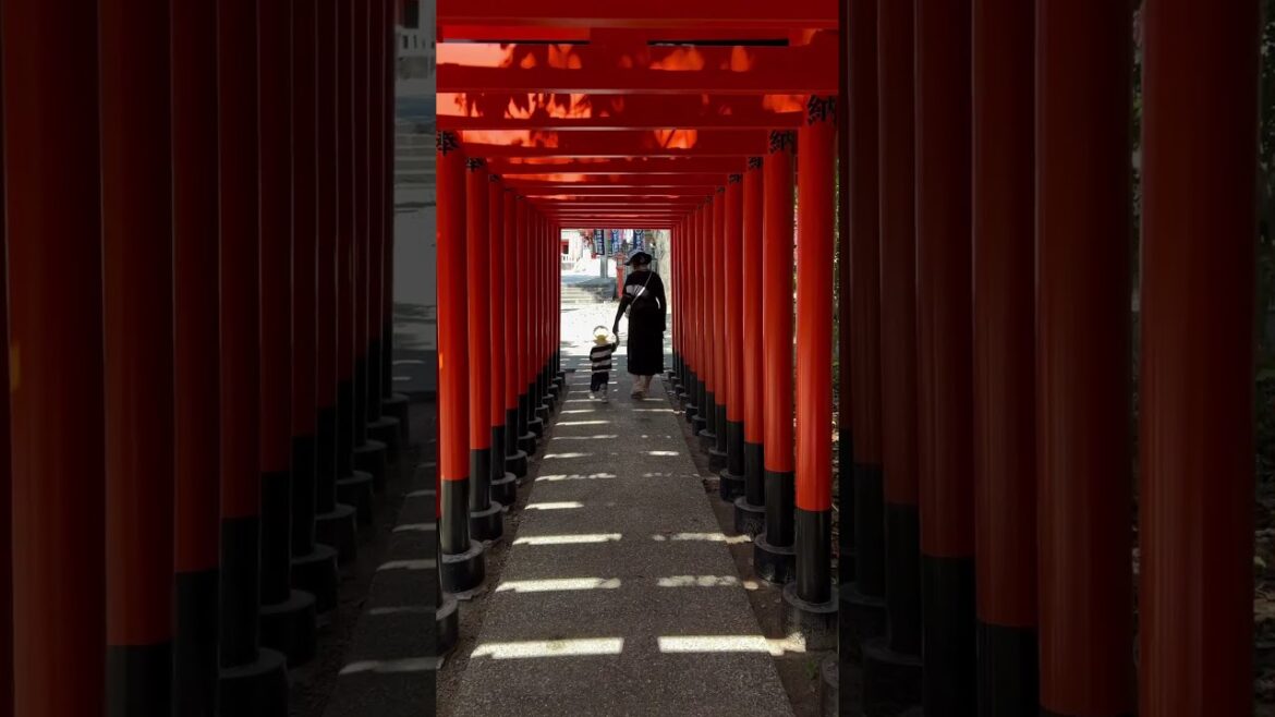 【OSAKA】Must-See Hidden Gem – Toyonaka Inari Shrine 【OSAKA】Must-See Hidden Gem - Toyonaka Inari Shrine