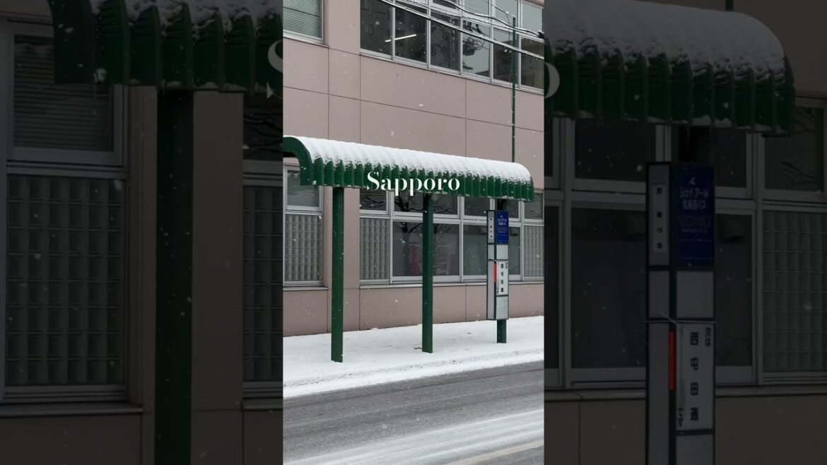 Sapporo daily/Dec.07.24