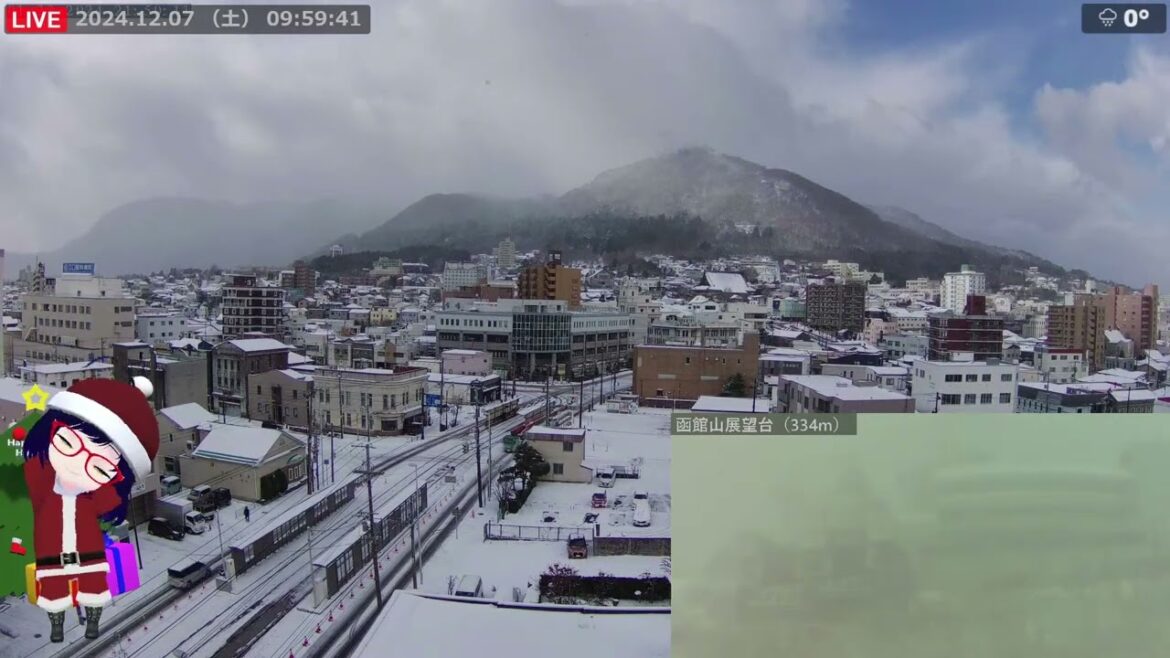 北海道 函館 白鳥通過 2024.12.7 北海道 函館 白鳥通過 2024.12.7