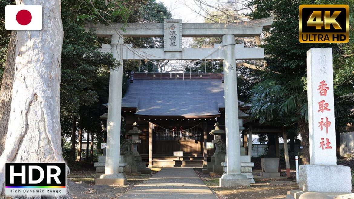 Take stroll through YAHASHIRA area. Winter day in Chiba.八柱周辺散策-Walking Tour [ 4K HD ]