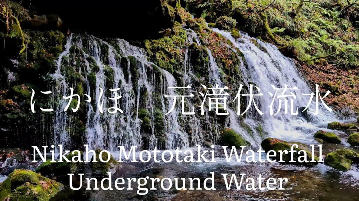 秋田県観光 鳥海山の湧き水 にかほ 元滝伏流水 Akita Pref Tourism: Mt. Chokai, Nikaho, Mototaki Underground Water, Japan 秋田県観光 鳥海山の湧き水 にかほ 元滝伏流水 Akita Pref Tourism: Mt. Chokai, Nikaho, Mototaki Underground Water, Japan