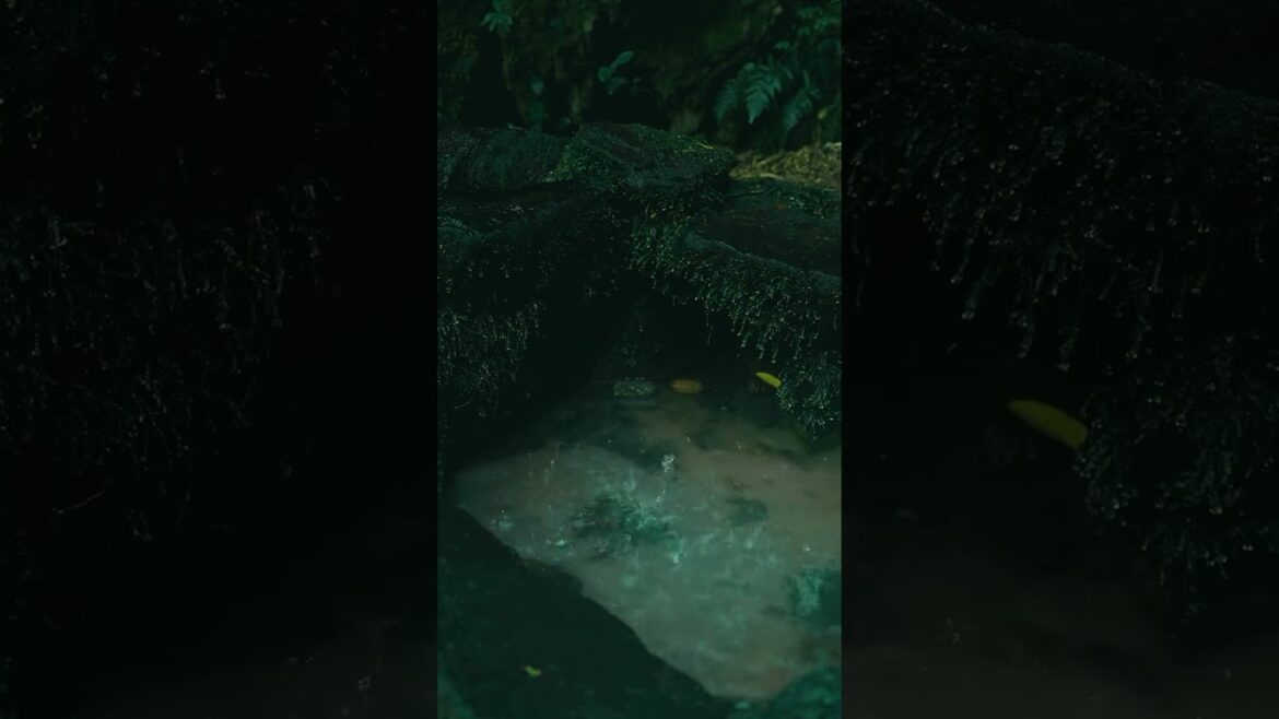 Mystery inside the hill