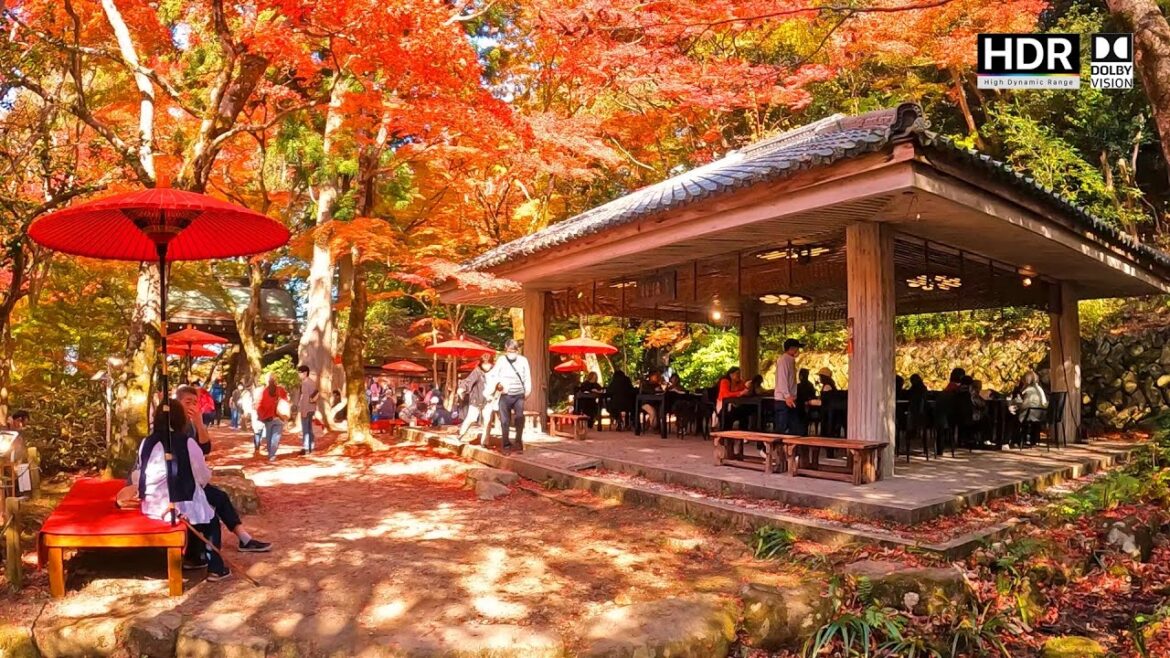 One of the best autumn foliage spots in the Kansai region "Zuihoji Park" Arima Onsen, Kobe, Japan