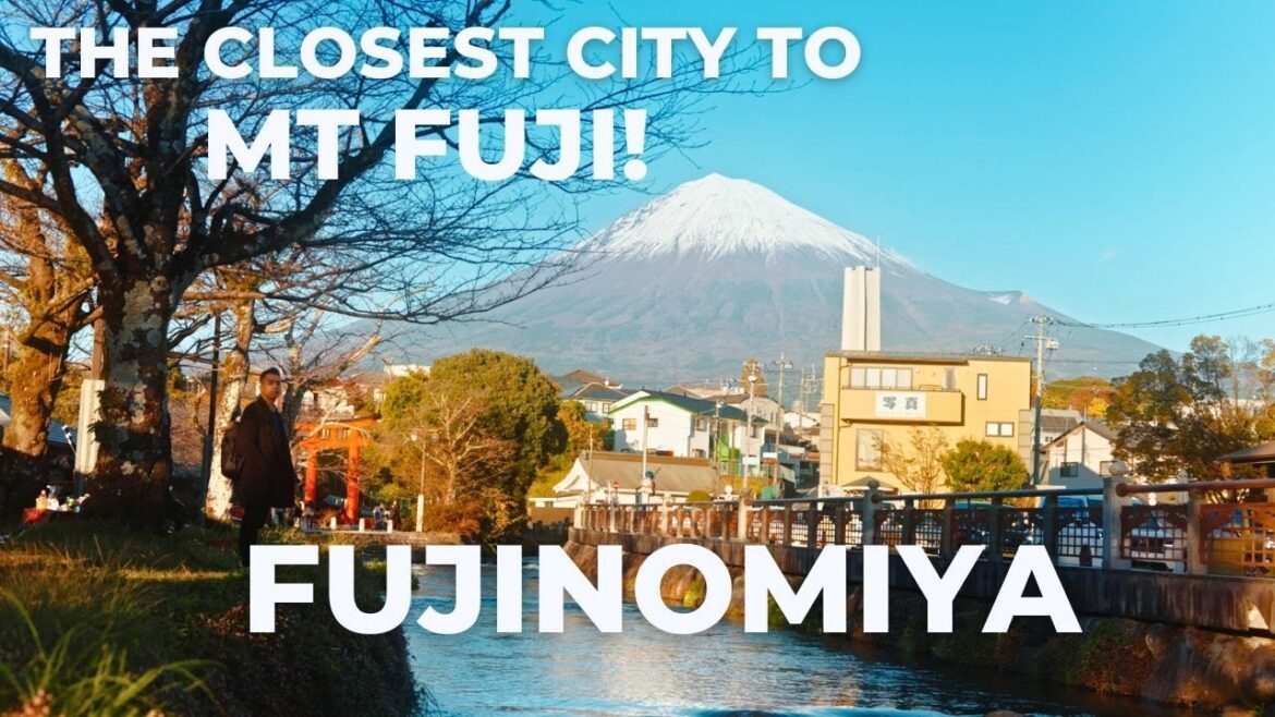 One Day in FUJINOMIYA: What to See, Eat, and Explore! One Day in FUJINOMIYA: What to See, Eat, and Explore!