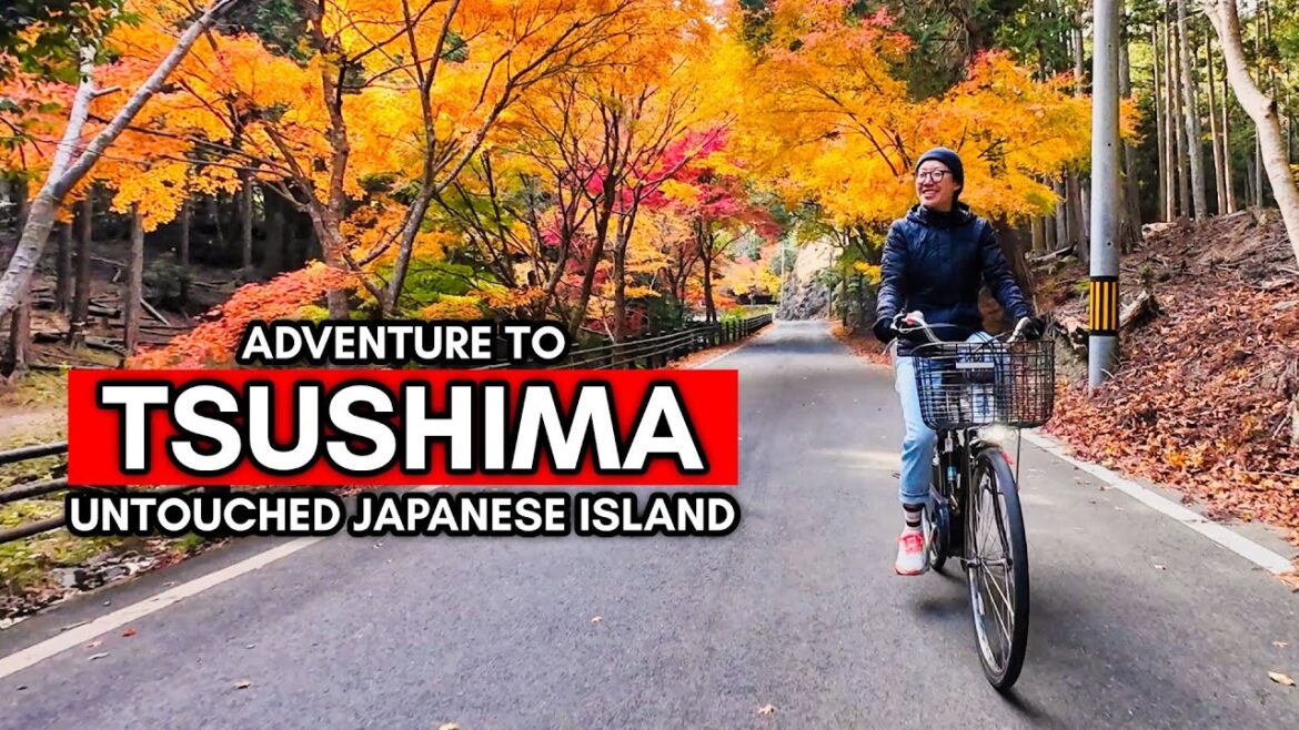 The Cheapest Way to Travel to Japan from Korea! 🇯🇵 Busan to Tsushima Ferry Trip