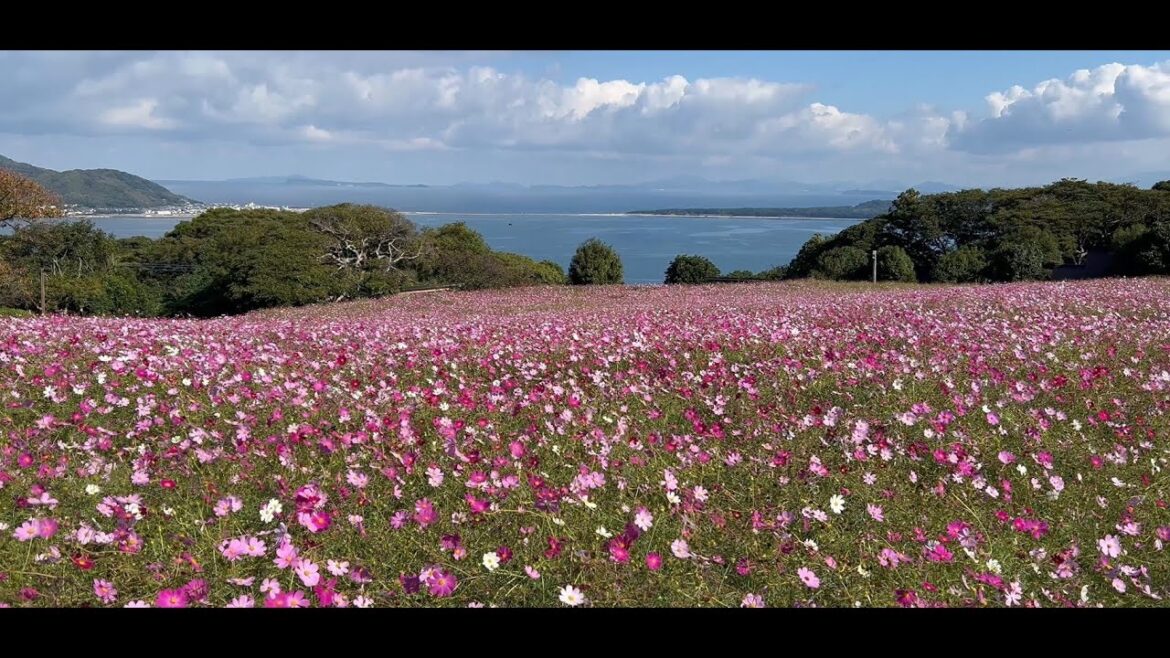 [Travel Vlog]: Fukuoka in 5 Days