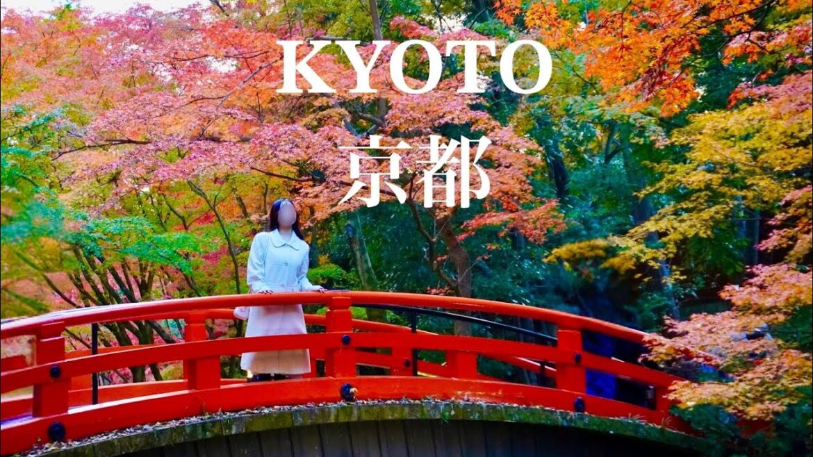 【Kyoto🇯🇵】Breathtaking Autumn leaves/Kyoto Gosyo/Kitano Tenmangu Shrine/Toriiwarou/Ramen