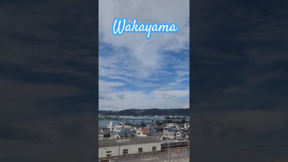 Kinokawa River flowing through Wakayama. 와카야마를 흐르는 기노카와강. #和歌山市 #紀ノ川 #wakayamatravel #와카야마여행