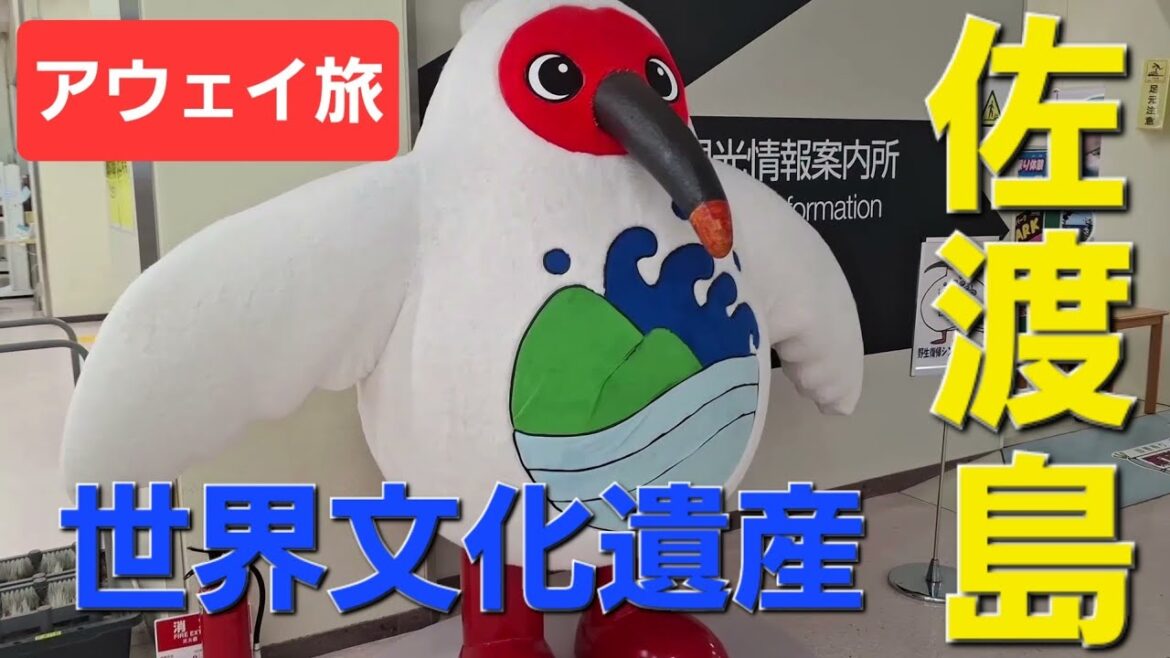 【アウェイ観戦旅】三泊四日で世界遺産の佐渡島行って、遠征費はいくら？【新潟】