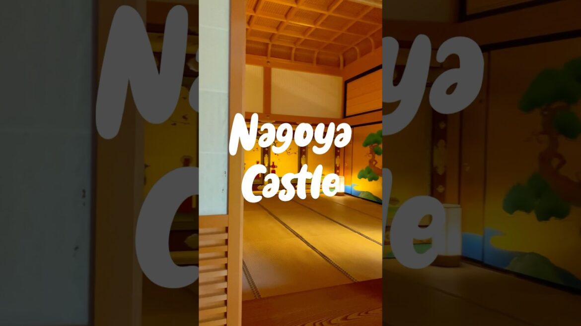 Nagoya Castle #japantravel #japaneseculture
