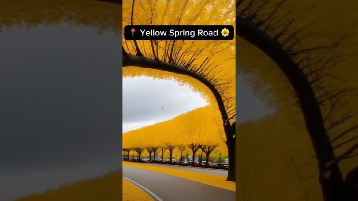 6 Places In Japan 🇯🇵 that are  amazing 😍 #japan #travel #explore #nature