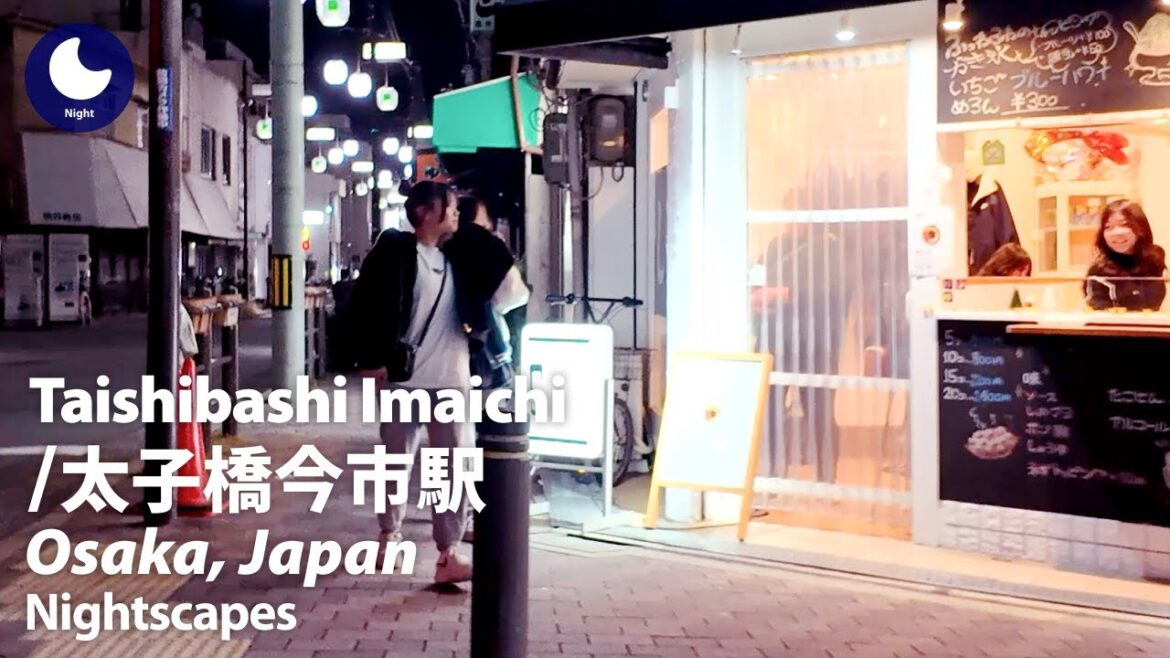 ⁴ᴷ Osaka: Taishibashi Imaichi Station (大阪府: 太子橋今市駅) - Japan Walking Tour (November, 2024)