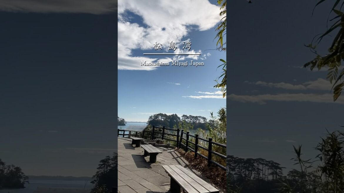 やっぱり、あんたはすごいよ！　#松島海岸 #松島 #松島湾 #日本三景 #宮城 #海 #風景 #日本の風景