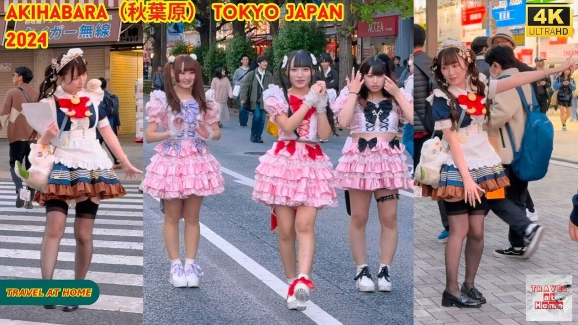 4k hdr japan travel 2024 | Walk in Akihabara（秋葉原）Tokyo Japan |  Relaxing Natural City ambience