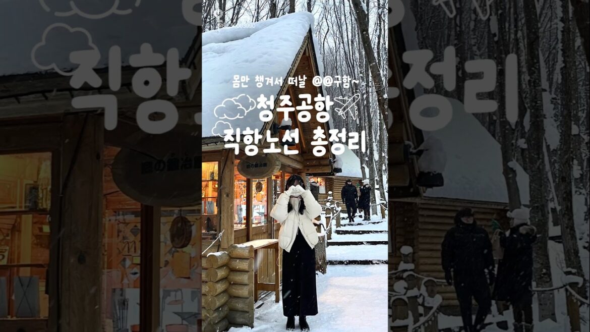 청주공항 국제선 총정리 모음 ✈️++나랑 같이 여행 갈 짝꿍 어딨나~ #청주공항 #여행 청주공항 국제선 총정리 모음 ✈️++나랑 같이 여행 갈 짝꿍 어딨나~ #청주공항 #여행