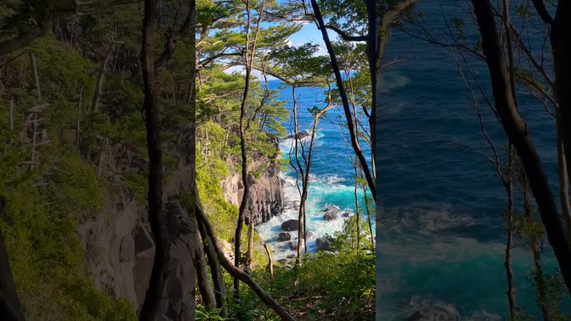 #shizuoka #japan #travel #travelvlog #peninsula