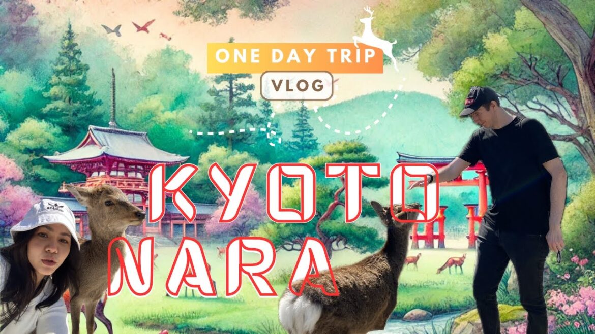 1 Day Trip in Nara & Kyoto