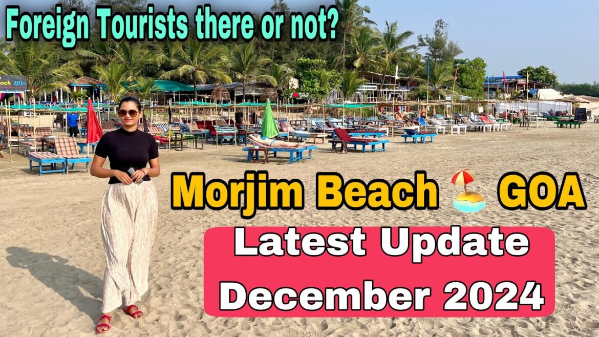 Goa December Update 2024 | Morjim beach update 2024  | Foreign tourist there or not ? Goa December Update 2024 | Morjim beach update 2024  | Foreign tourist there or not ?