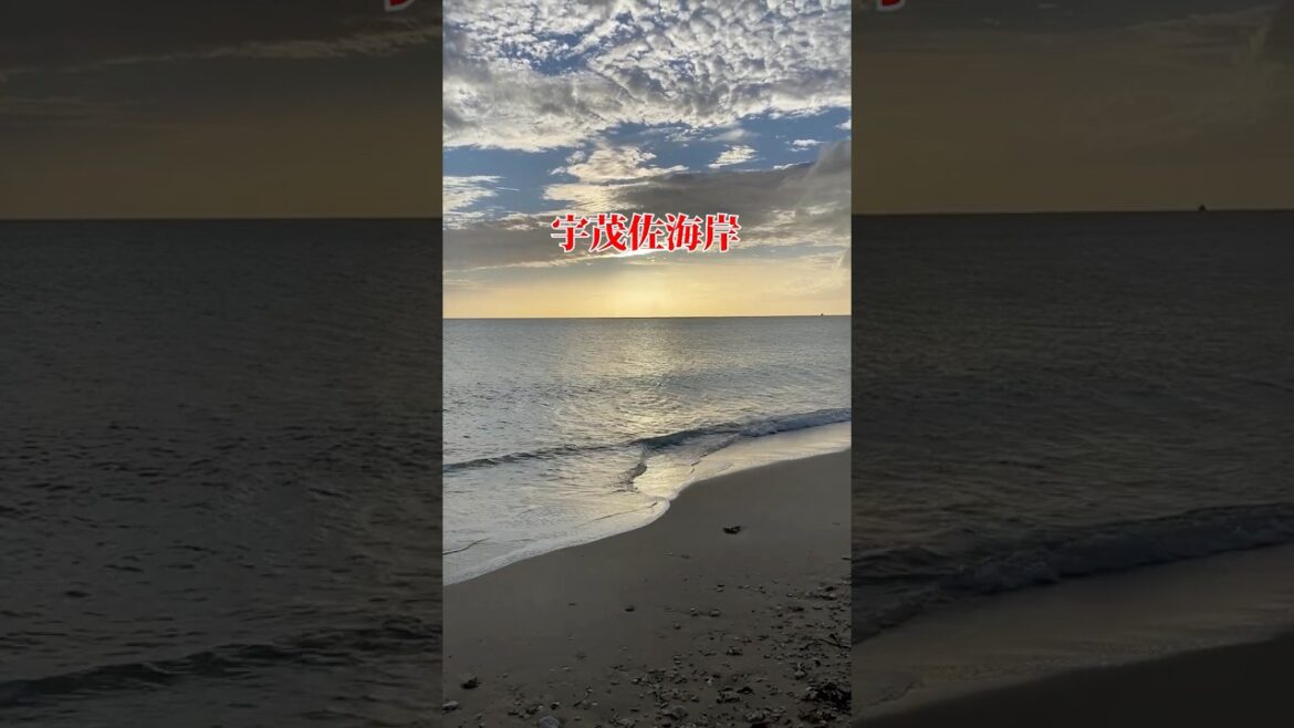 台風の影響で荒れ狂う海 #21世紀の森ビーチ #宇茂佐海岸 #shorts 台風の影響で荒れ狂う海 #21世紀の森ビーチ #宇茂佐海岸 #shorts