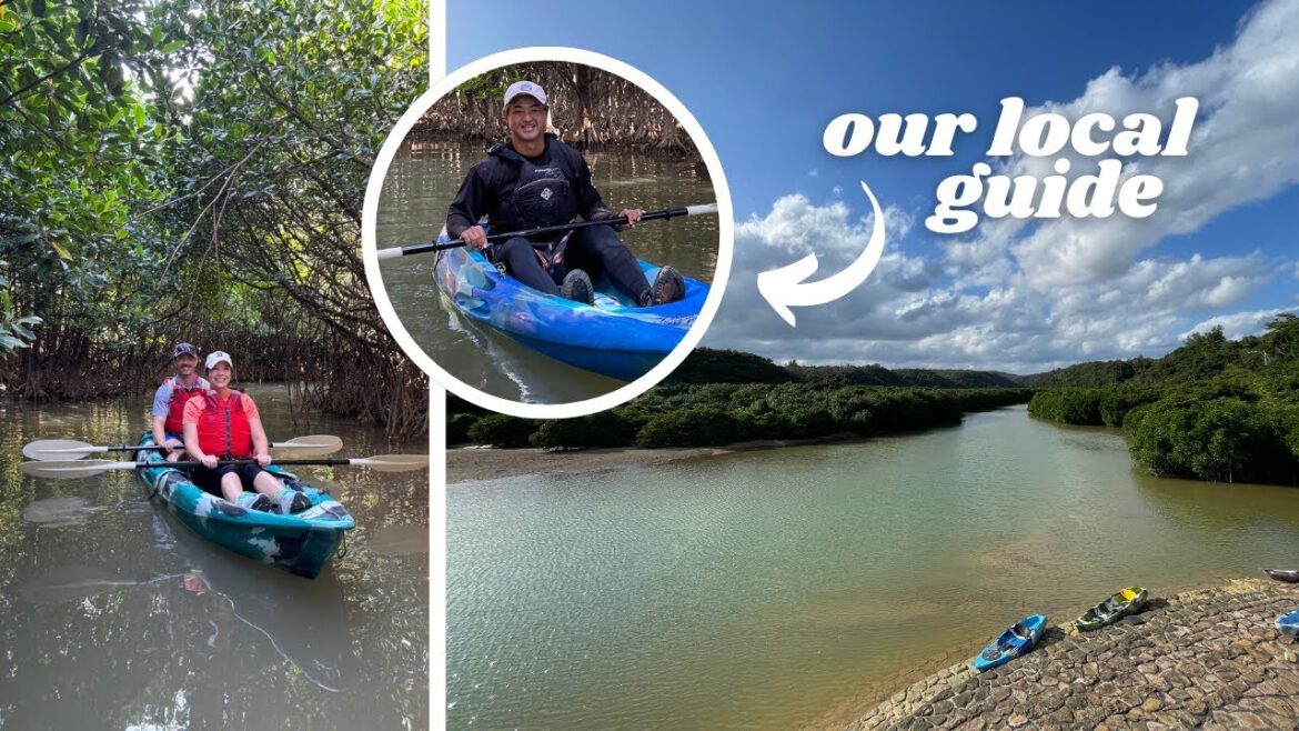 Kayaking the Largest Mangrove Forest in Okinawa with East River Nature Guide [Higashi Village]