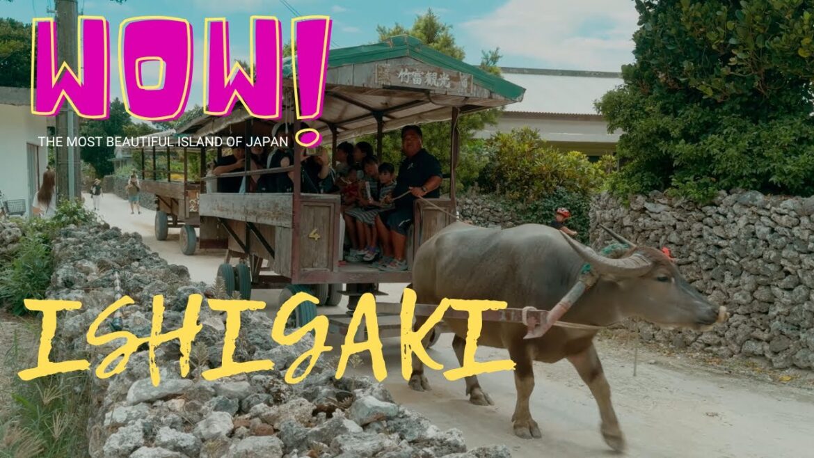 Ishigaki Island: Your Next Vacation in Japan