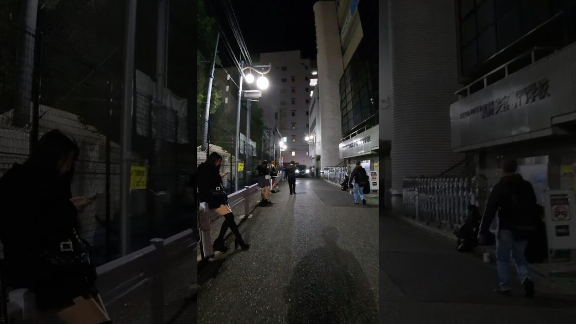 Okubo Park in the cold #shinjuku #travel