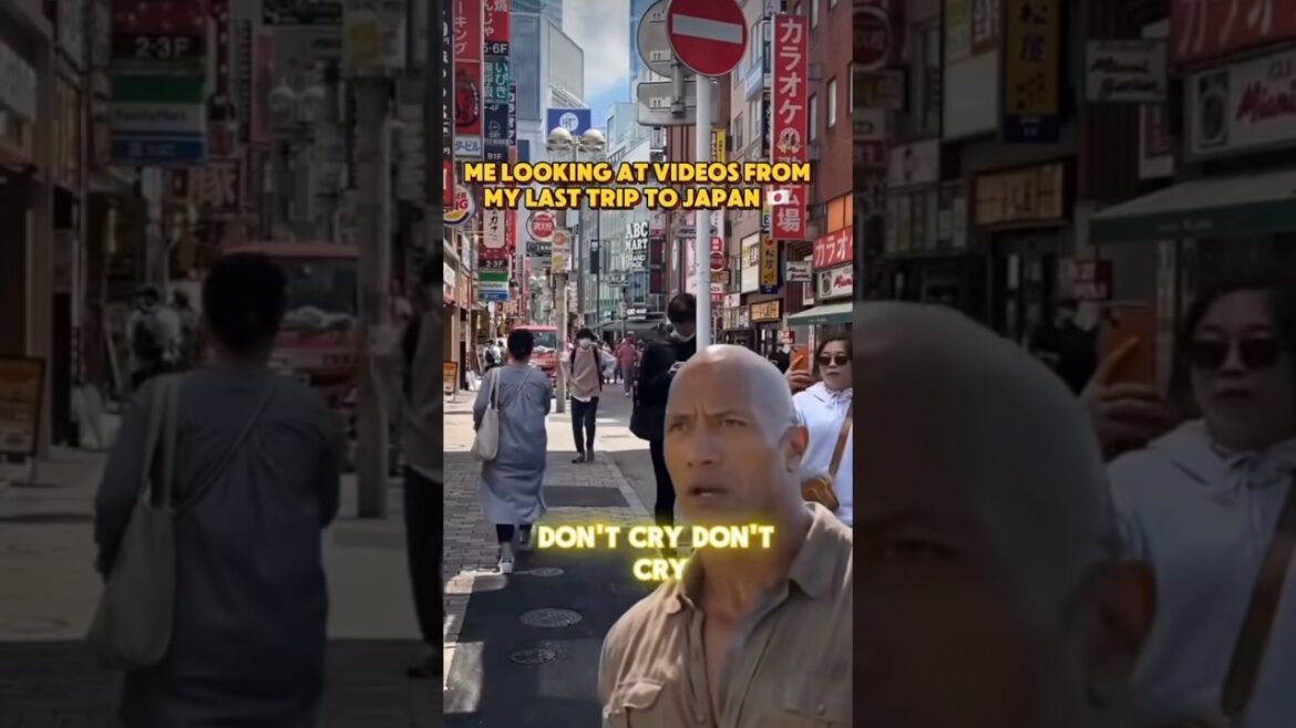 Funny π Vacation Memes π―π΅ Japan #japan #travel #japantravel #memes #asiantravel #funny memes Funny π Vacation Memes π―π΅ Japan #japan #travel #japantravel #memes #asiantravel #funny memes