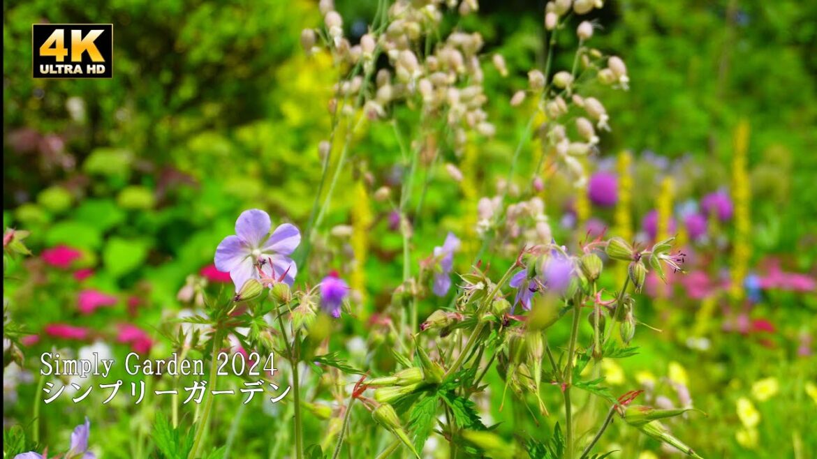 【Simply Garden 】 We went to the open garden, which is only open for a limited time!