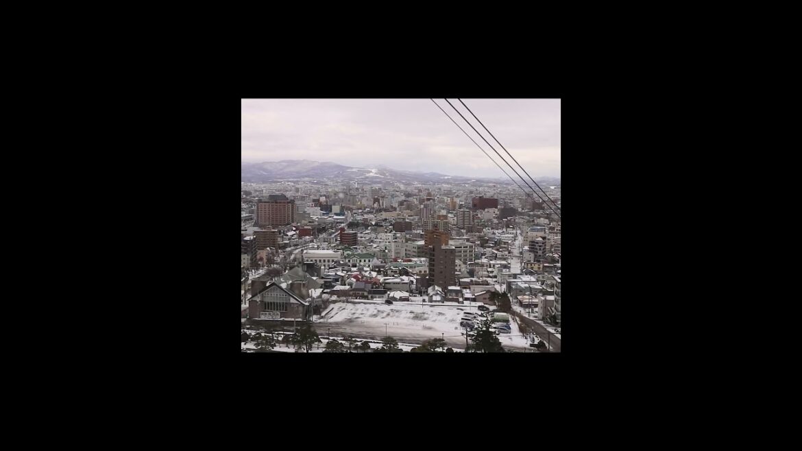 Enjoying Hakodate Lunch And Hakodate Ropeway #shortvideo #shortsvideo #shorts #short Enjoying Hakodate Lunch And Hakodate Ropeway #shortvideo #shortsvideo #shorts #short