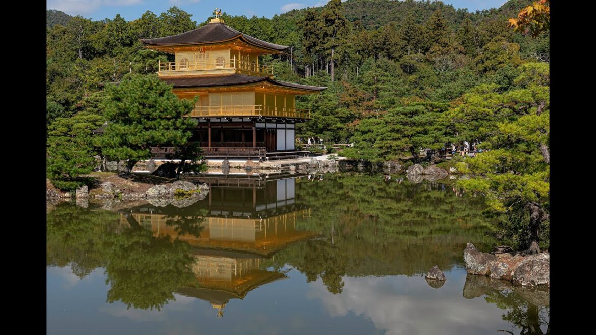 Ultimate Japan tour November 2024