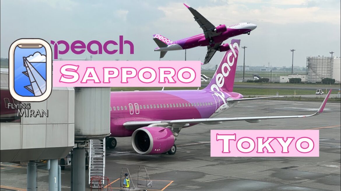 To Tokyo From Sapporo | peach | A320Neo