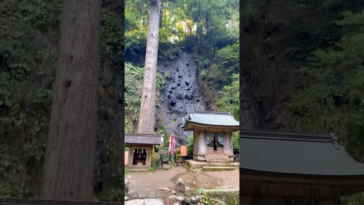 Yamagata, Japan. It's like a movie world.#japan #japantravel #japantrip #yamagata #japanculture