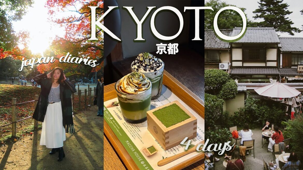 Eat, Shop & Explore Kyoto 京都 | Autumn season, Ramen Finds, Kyoto Sightseeing 🍁🇯🇵
