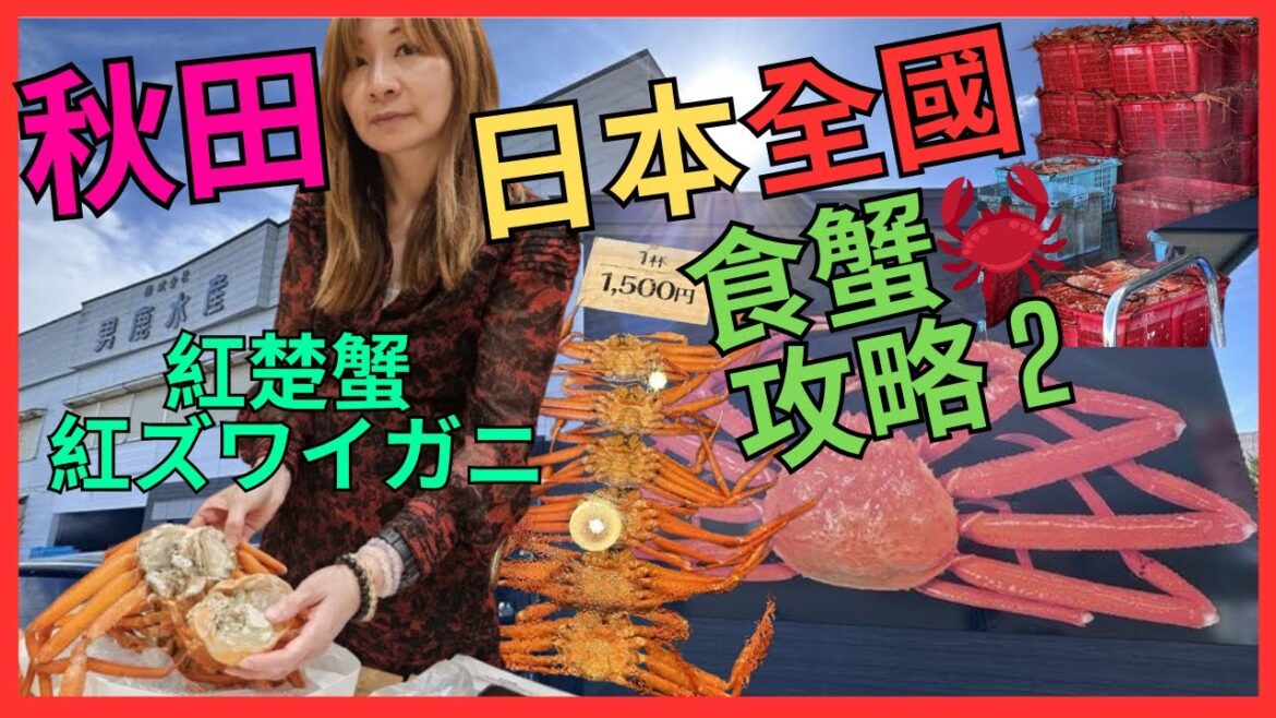 [日本 全國 食蟹🦀攻略 2] 紅楚蟹 紅ズワイガニ| 秋田 男鹿市| 秋田 日本海的雪蟹｜¥1500一隻｜低調 但 高CP值｜另一 必食 推介｜沿著 日本海 去食蟹｜男鹿水產｜縣內唯一紅楚蟹供應商