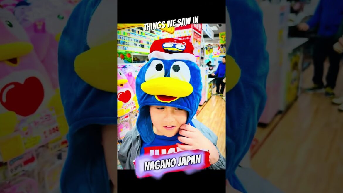 Japan less travelled - Nagano. #japan #travel #reels