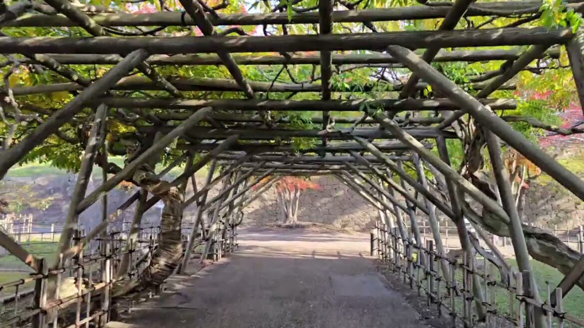 Entering Goryōkaku fortress