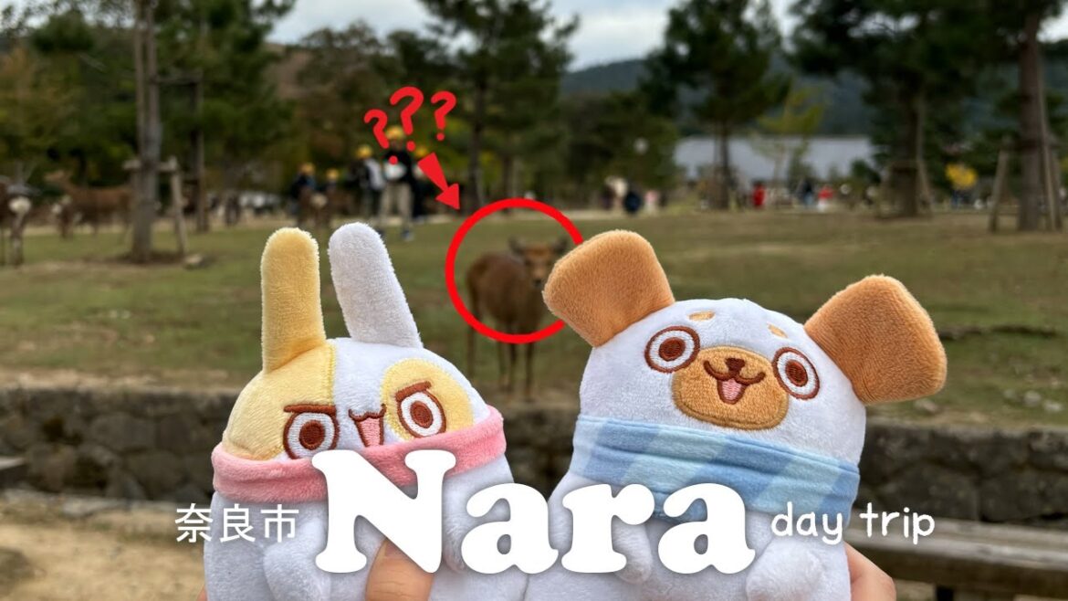 π¦ Nara π¦ | JAPAN VLOG | Deer Park | Todai-ji | Kakinoha Sushi | Famous Mochi | Kyoto Yakitori π¦ Nara π¦ | JAPAN VLOG | Deer Park | Todai-ji | Kakinoha Sushi | Famous Mochi | Kyoto Yakitori