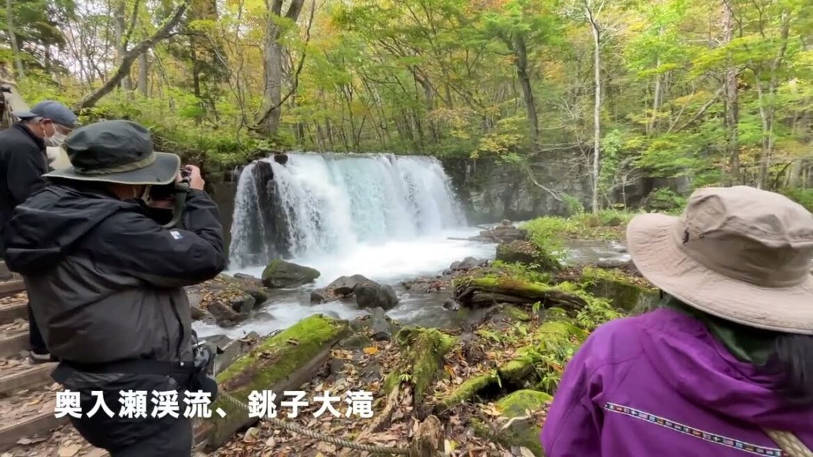 2022年10月17日八甲田・八幡平・奥入瀬 撮影ツアー(道新観光)(Aomori photo tour)