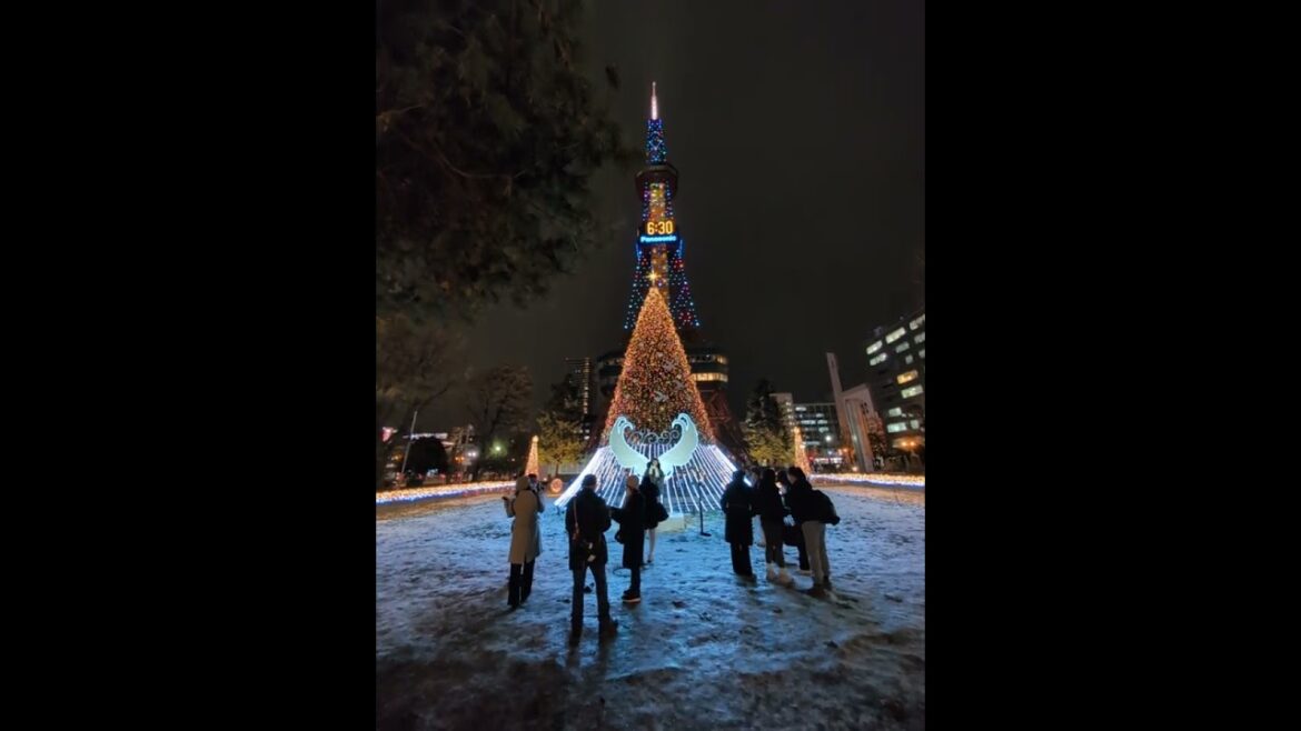 Christmas tree @ Sapporo TV Tower
